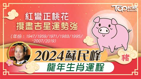 2024肖豬運程